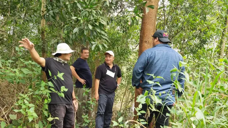 Team members inspecting trees on the plantation